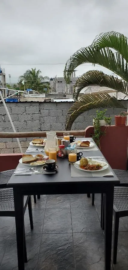 Gecko Guest House Ecuador