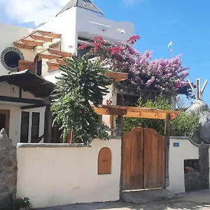 Alma De Cedrela Puerto Ayora (Galapagos Islands)